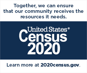 Census 2020 graphic