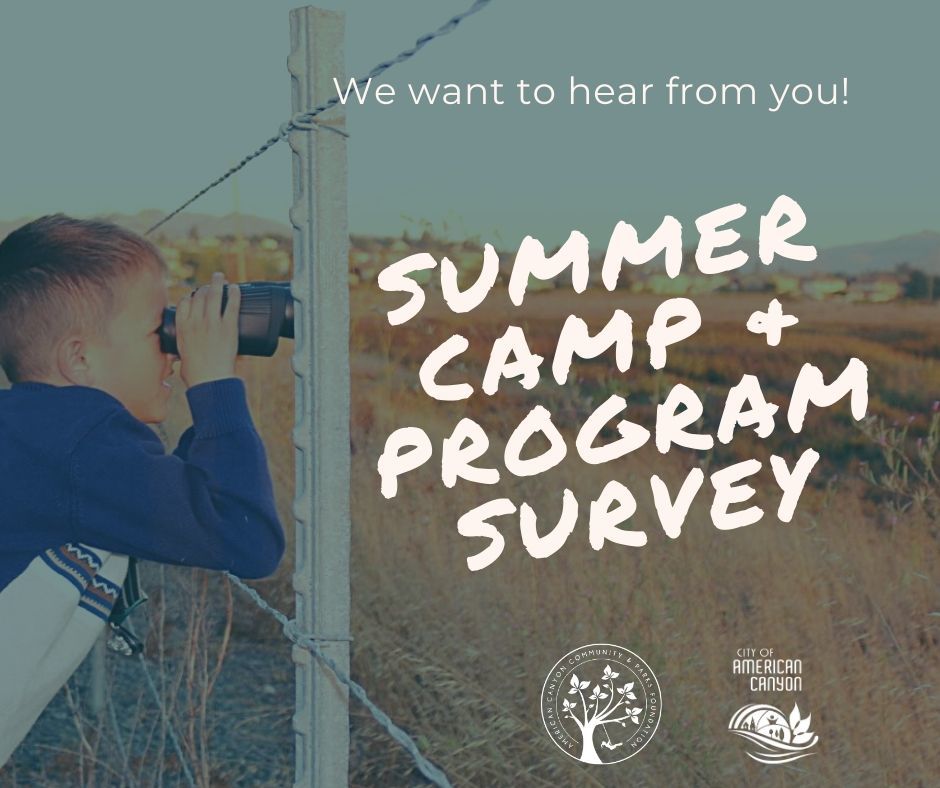 Summer camp and program survey