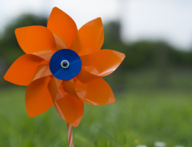 Pinwheels for Parks