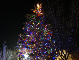 CMU Email Highlights - holiday tree