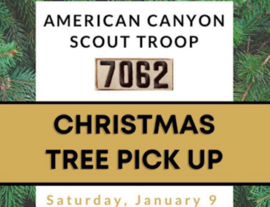 Boy Scout Christmas Tree Pick-up 