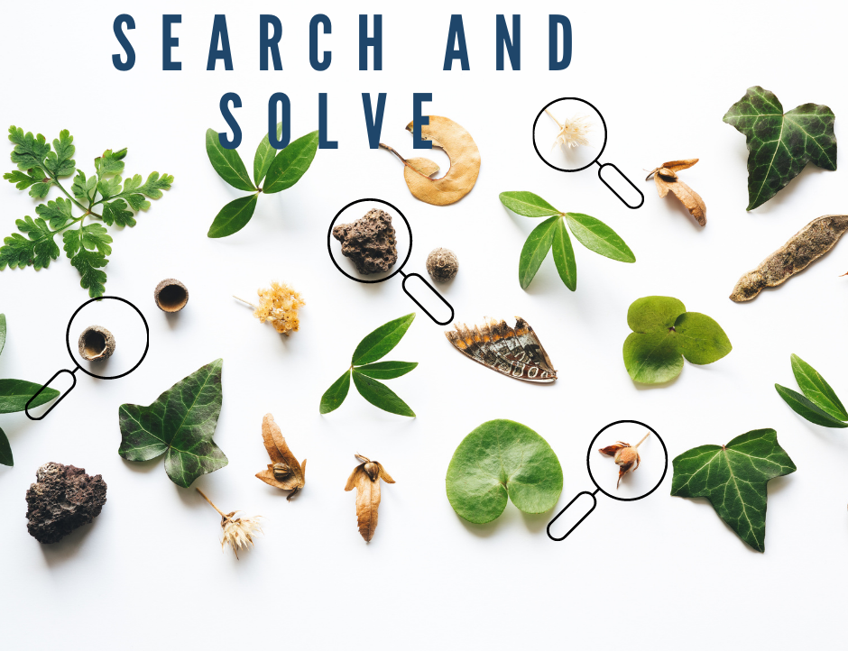 Search and Solve Graphic 