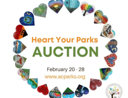 ACCPF Heart Auction Image 