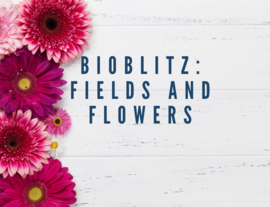 AC Fields and Flowers Graphic 