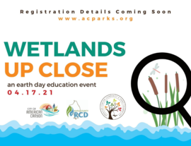 Wetlands Up Close Event Picture 