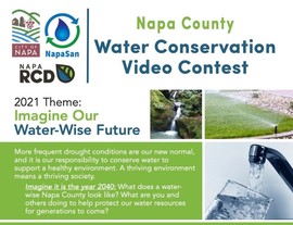 Video Contest Image 