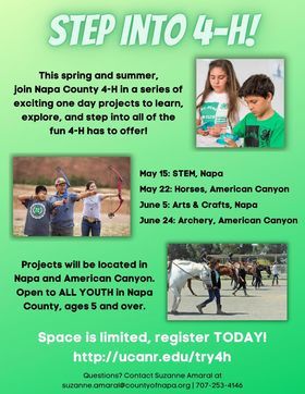 4-H Flyer English