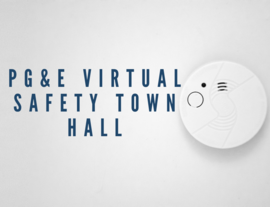 Virtual Town Hall 