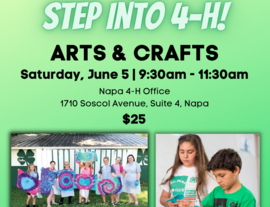 4-H Highlight: Arts and Crafts 