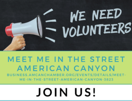 Meet Me in the Street Volunteers 