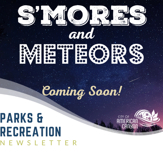 S'mores and Meteors Header 