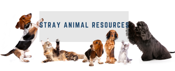 Stray Animal Resources 