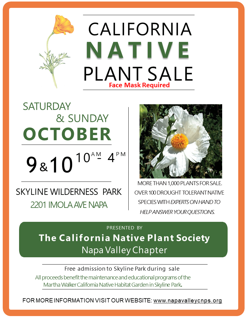 Plant Sale