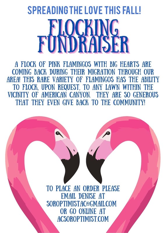 Flocking Fundraiser