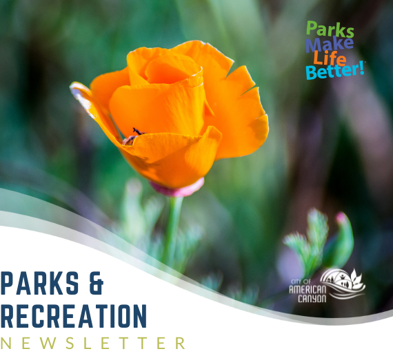 November P&R Newsletter Header