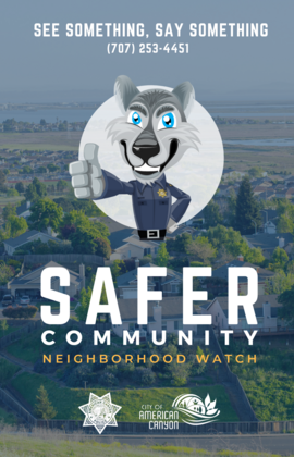 Safer Community