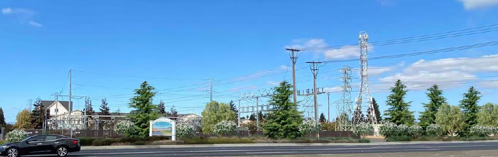 Additional Landscape at PG&E picture 