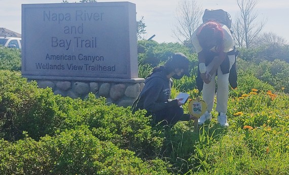 Volunteer Project Picture 