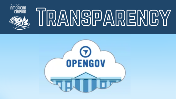 Open Gov Graphic 