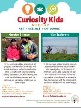 Curiosity Kids 