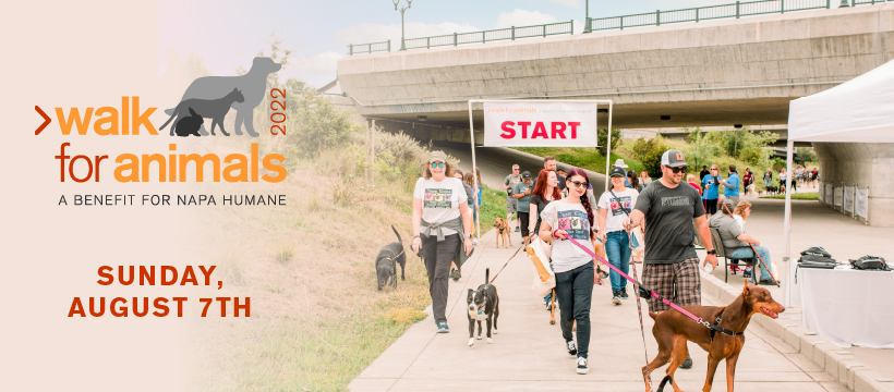 Napa Humane Walk for Animals 