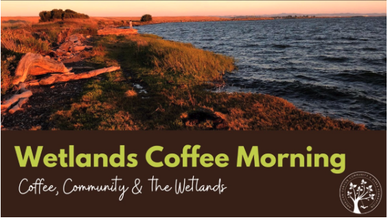 Wetlands Coffee Morning 