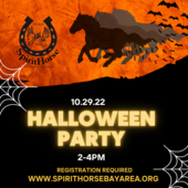 Spirithorse Halloween Party 