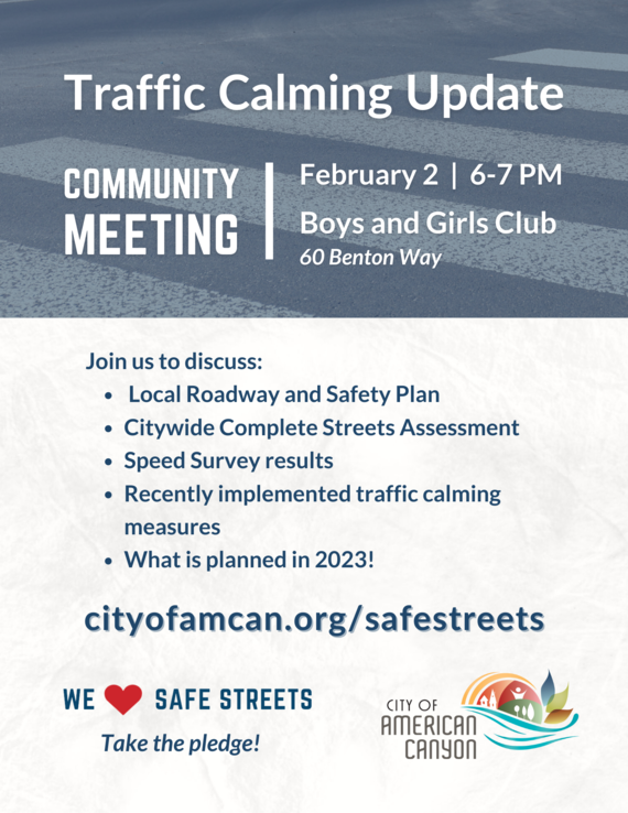 Traffic Calming Flyer