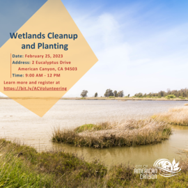 UPDATED Wetlands Cleanup Flyer 