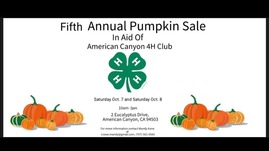 pumpkin sale