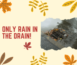 rain in the drain