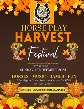 horseplay festival 