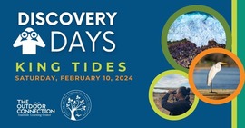 accpf king tides discovery day