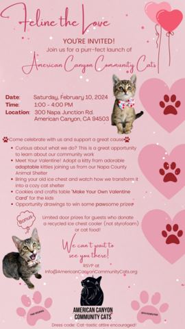 Community Cats Event