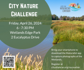 City Nature Challenge