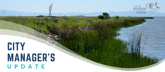 Wetlands scenery