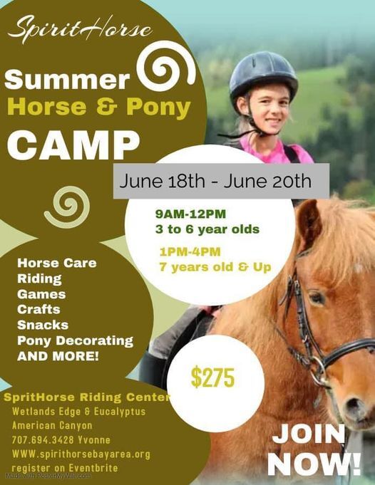 Spirit Horse June Camp