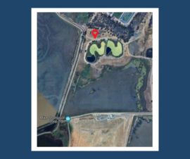 Wetlands Maintenance 