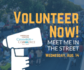 Volunteer for meet me in the street