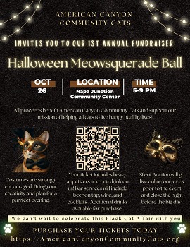 Halloween Meowsquerade 