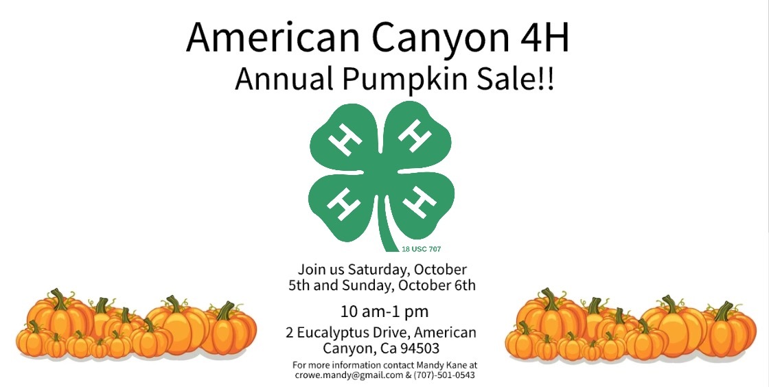 Pumpkin Sale 2024