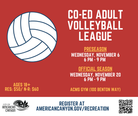 Adult Co-Ed Volleyball Fall 2024