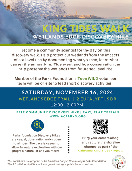 King Tides Walk 11.16.24