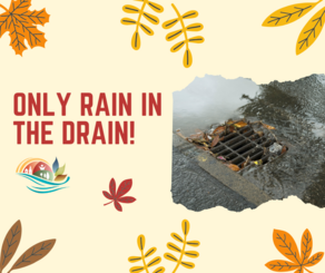 only rain in the drain