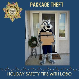 Package Theft