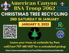 2025 Christmas Tree Recycling