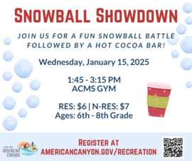 Snowball Shutdown 