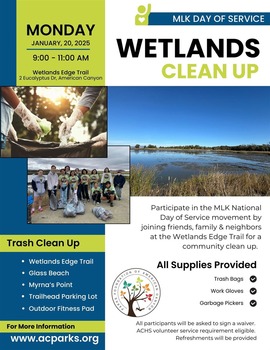 2025 mlk day of service