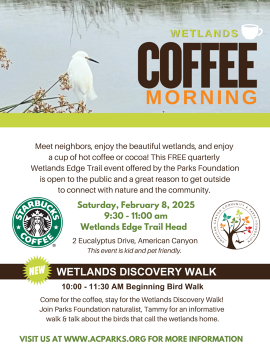 Wetlands Coffee Morning Feb 2025