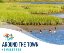 Around Town Feb 2025